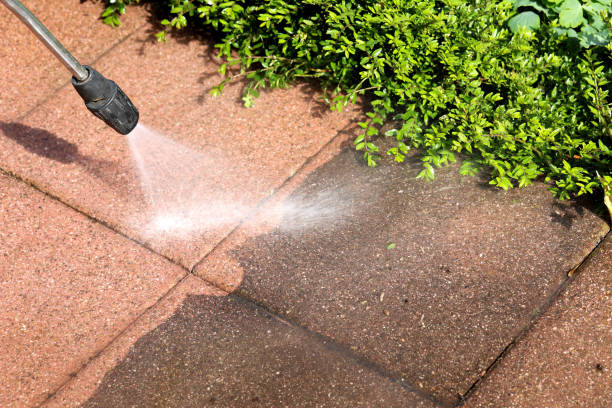 Best Exterior Home Cleaning  in Whetstone, AZ