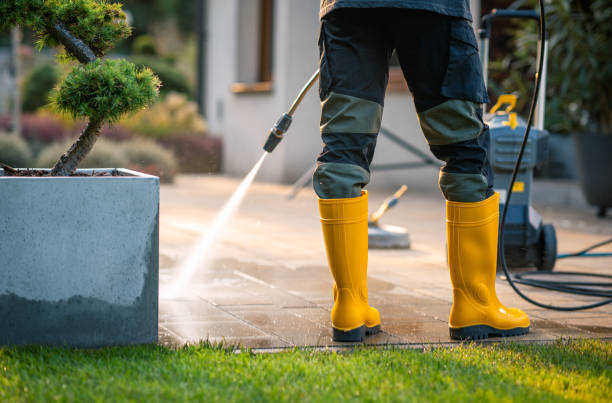 Local Pressure Washing Services in Whetstone, AZ